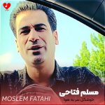 دانلود آهنگ خوشگل سر به هوا شیطون ناقلا از مسلم فتاحی